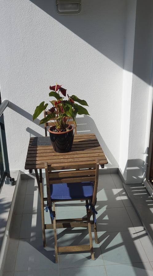 Apartment Jardim Das Madalenas