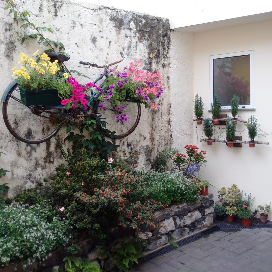 Ferienhaus Casa Da Avo Clementina