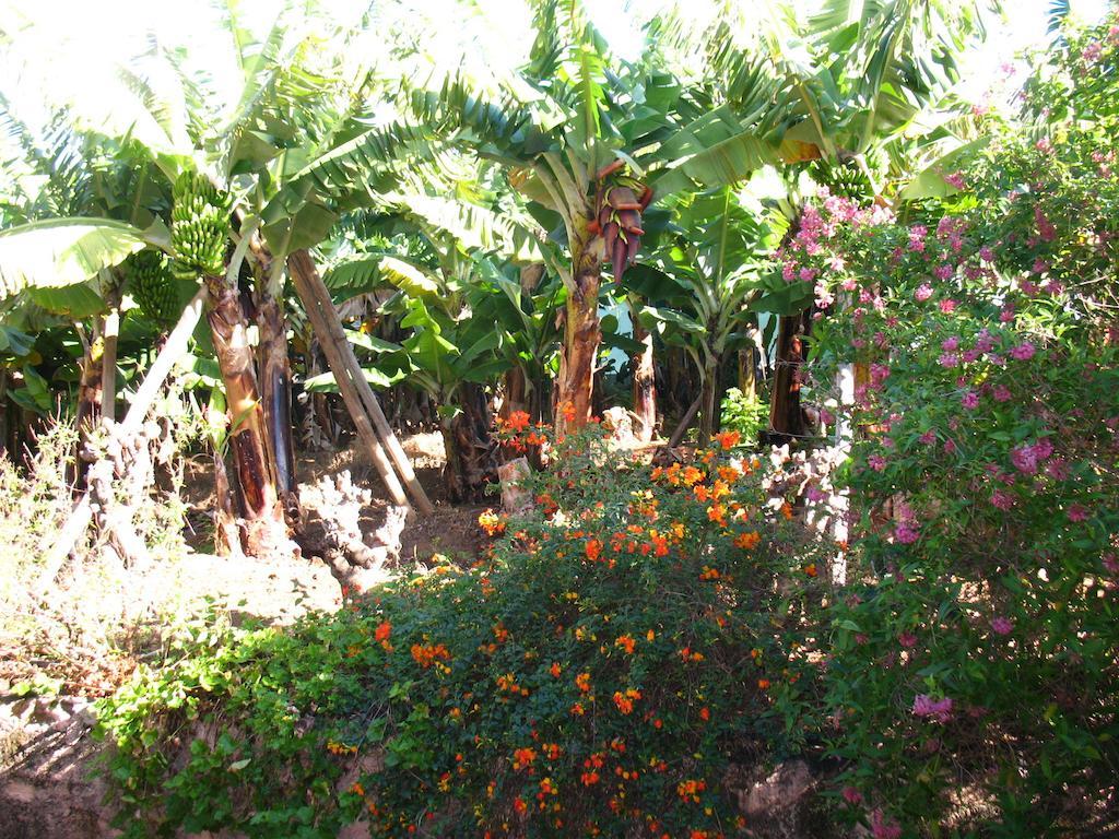 Pousada Quinta Sao Goncalo