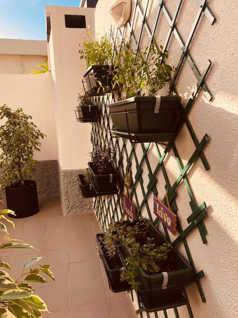Country house Vila Lido Funchal (Madeira)