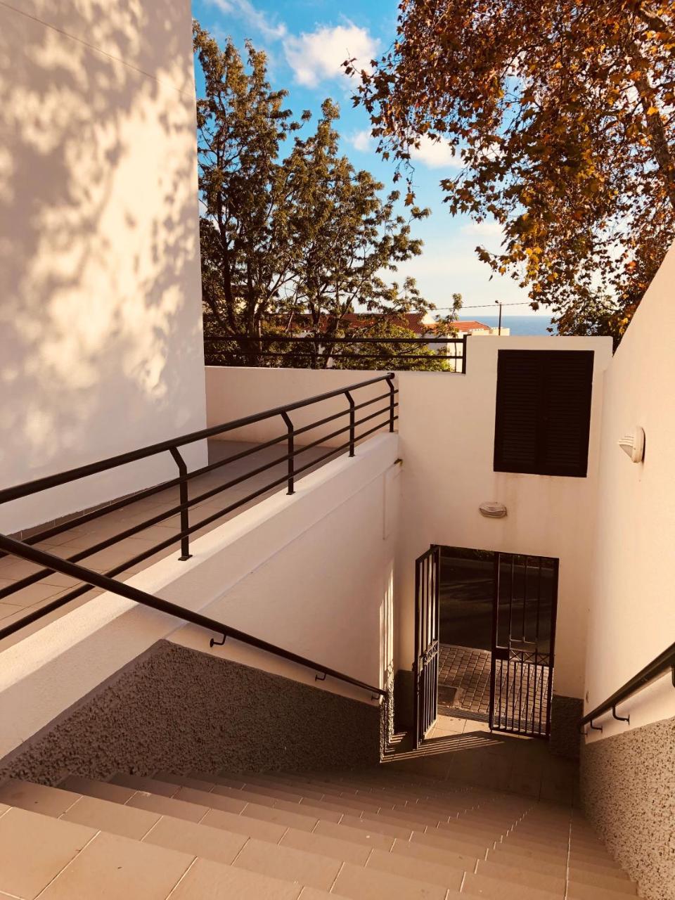 Vila Lido Country house *