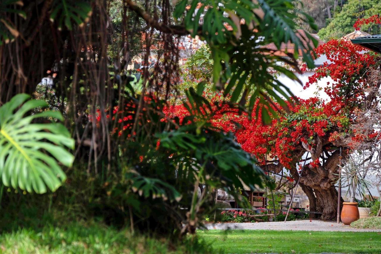 Ourmadeira - Loja Da Lenha, Charming Apartment
