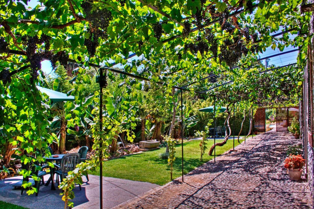 Ourmadeira - Loja Da Lenha, Charming Apartment *
