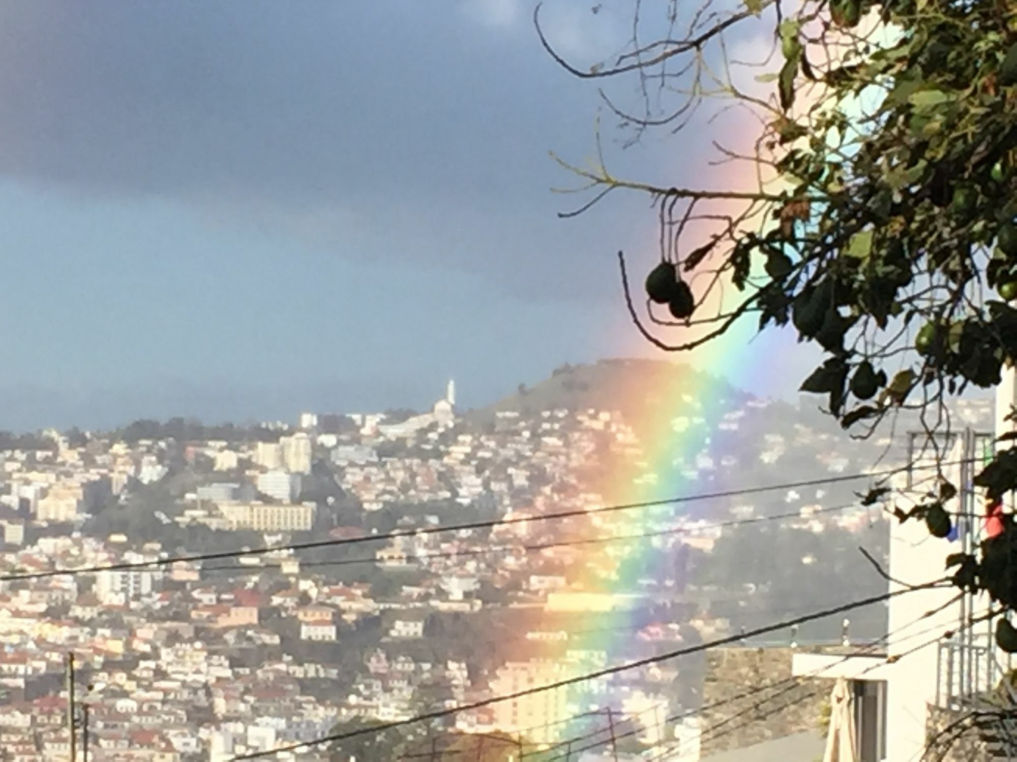 Rochinha Cozy * Funchal (Madeira)