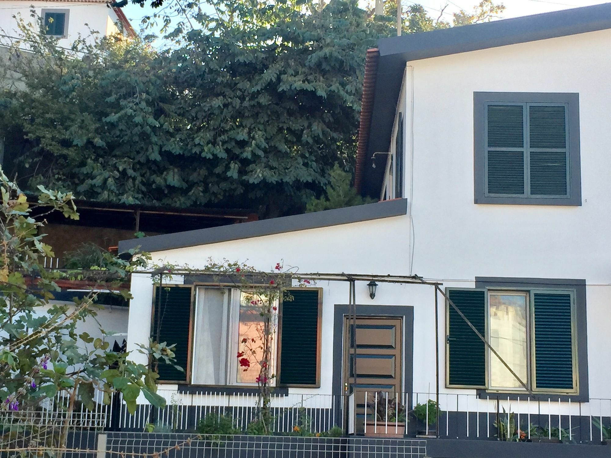 Apartamento Rochinha Cozy Funchal (Madeira)