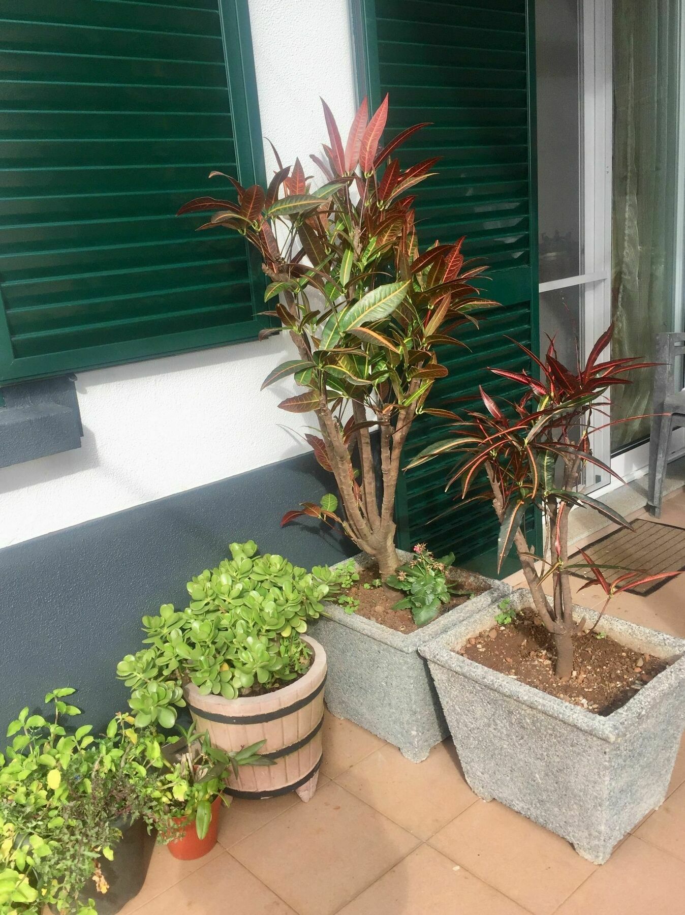 Apartamento Rochinha Cozy *