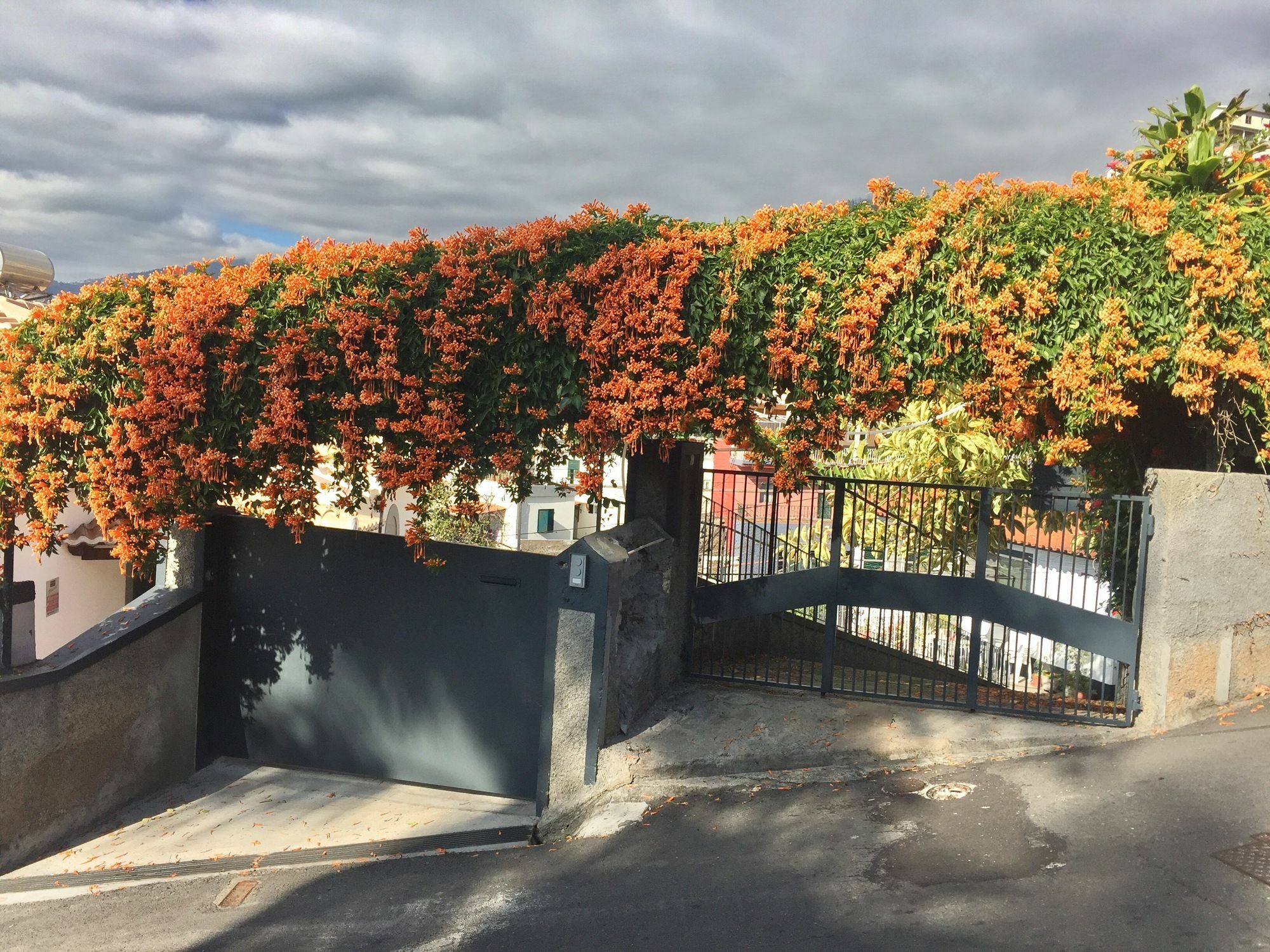 Rochinha Cozy Funchal (Madeira)