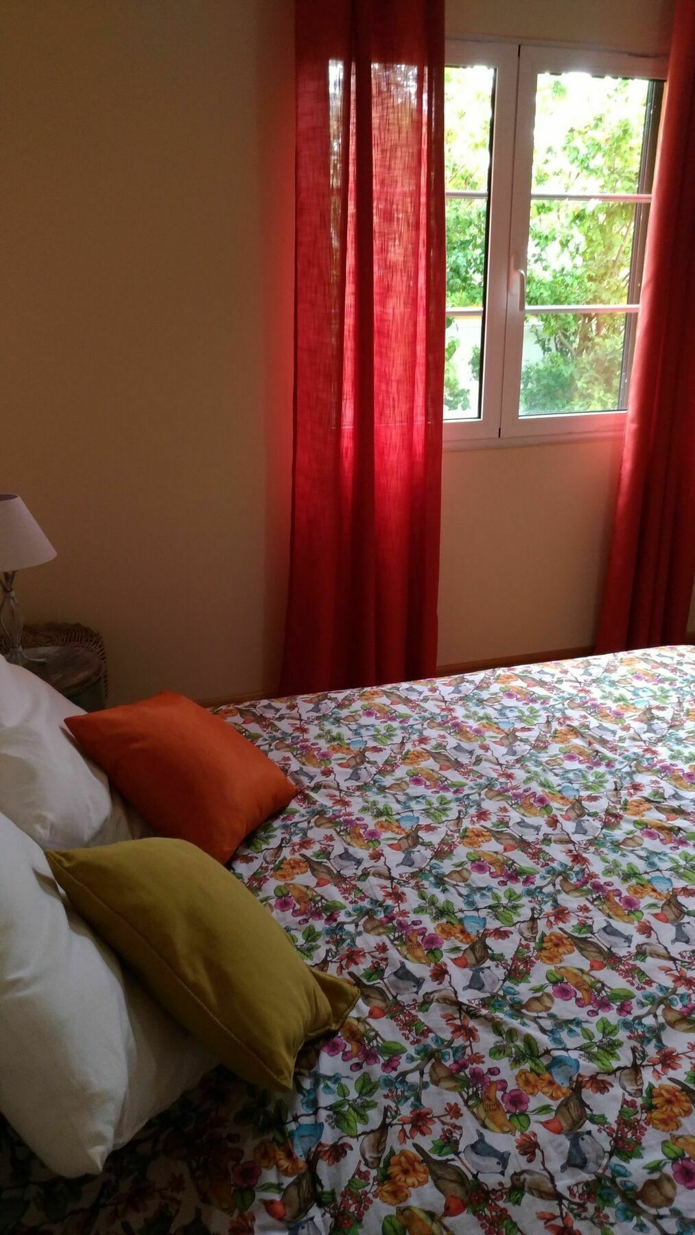 Casas Maravilha Funchal