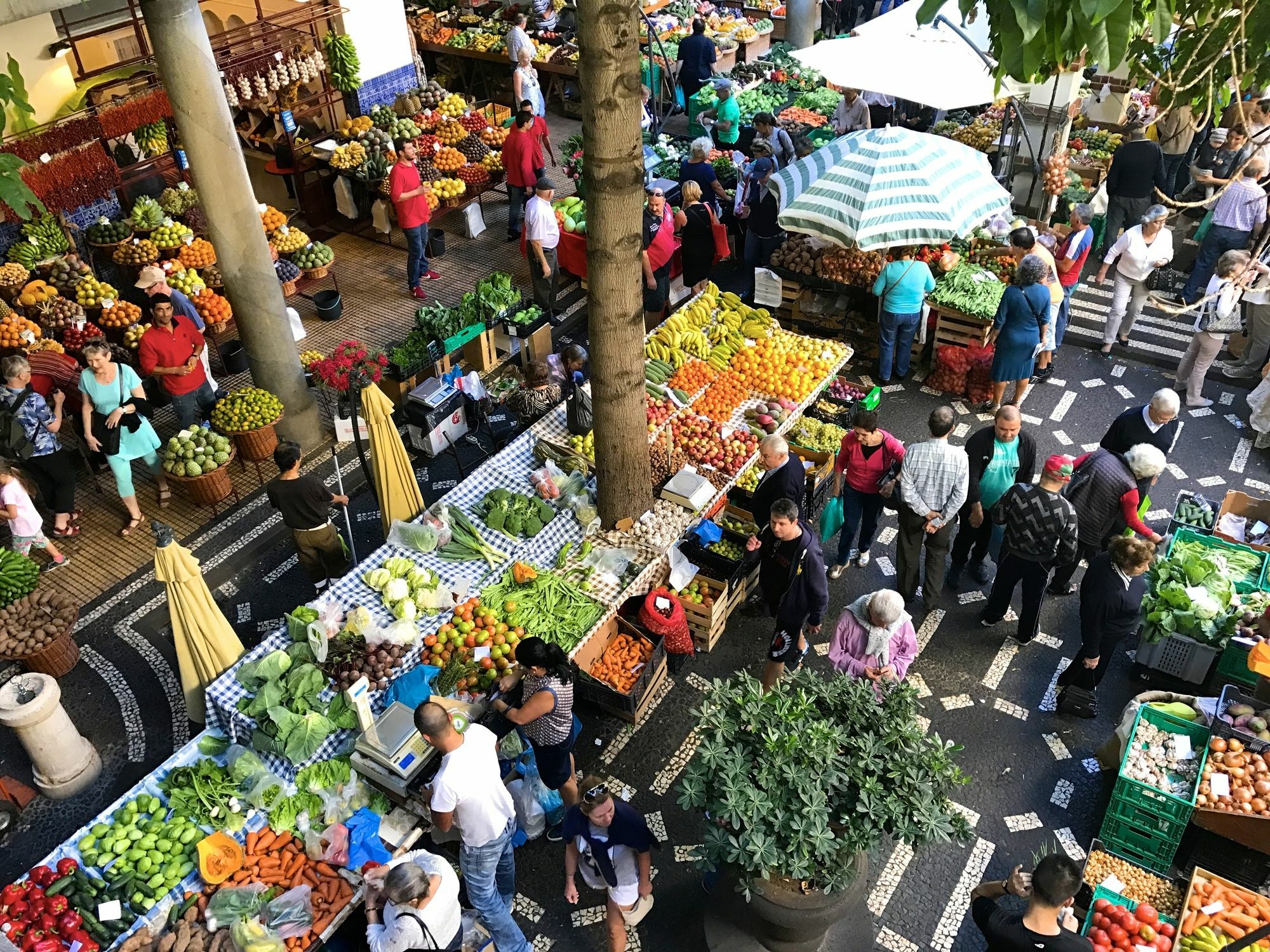 Toca Funchal (Madeira)