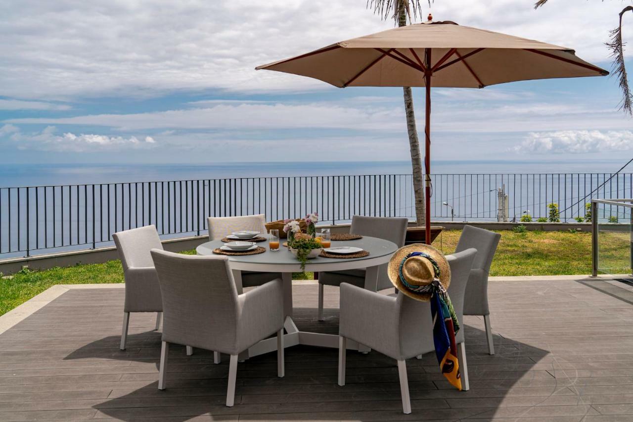 Papagaio By An Island Funchal (Madeira)