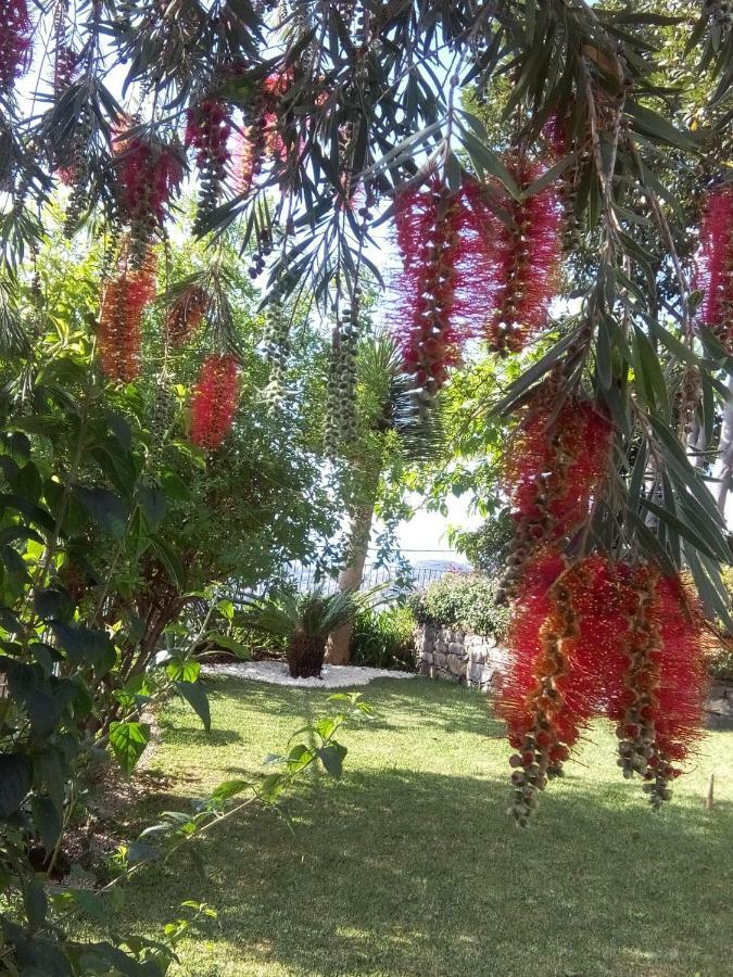 Bed & Breakfast La De Ker Briac Funchal (Madeira)