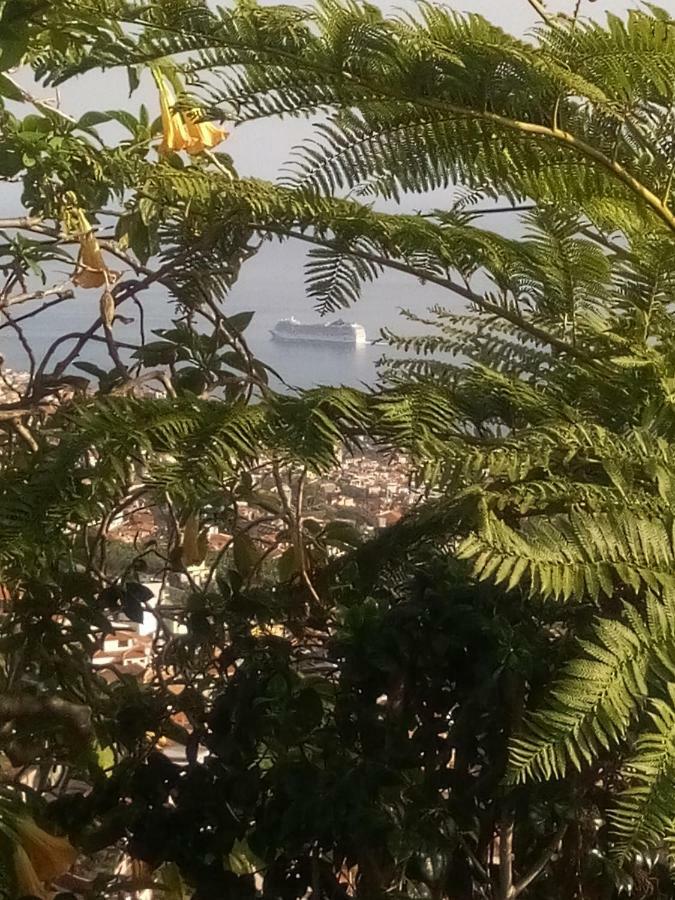 La De Ker Briac Funchal (Madeira)