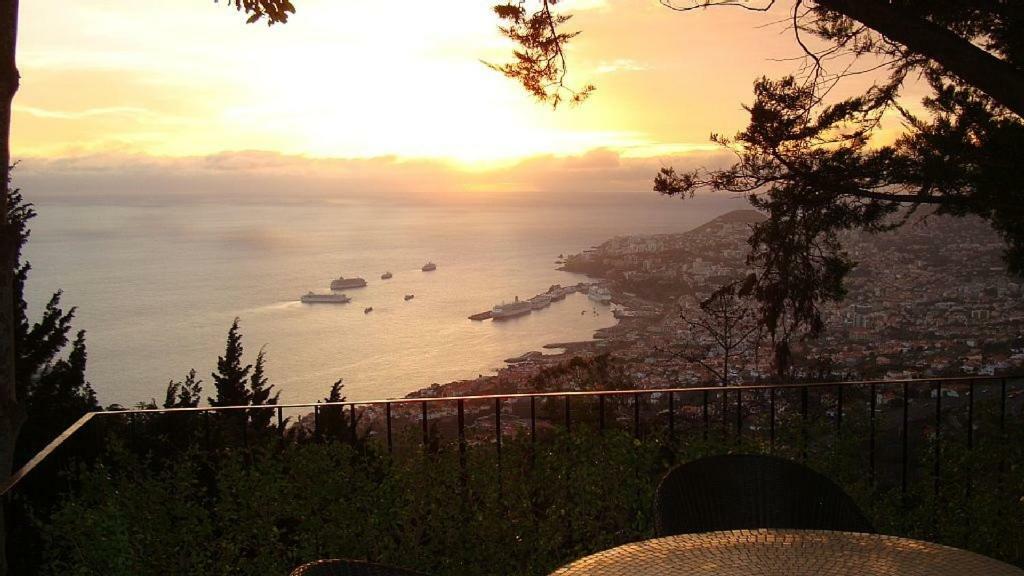 Charmoso No Funchal, Com Grande Jardim E Vista Esplendida *