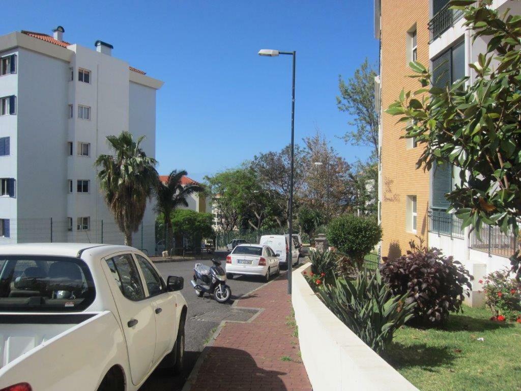 Edthela * Funchal (Madeira)