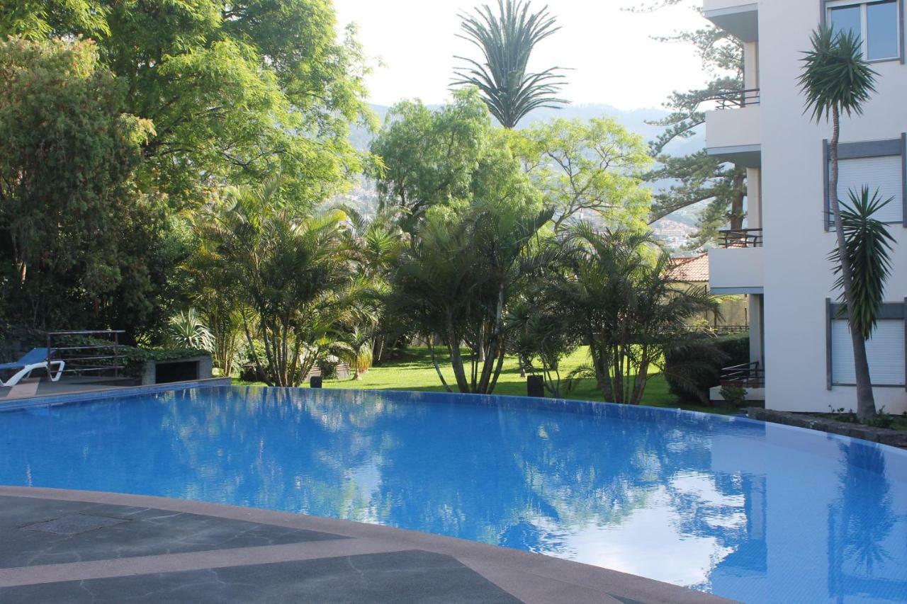 Jasmineiro - Palms Palace