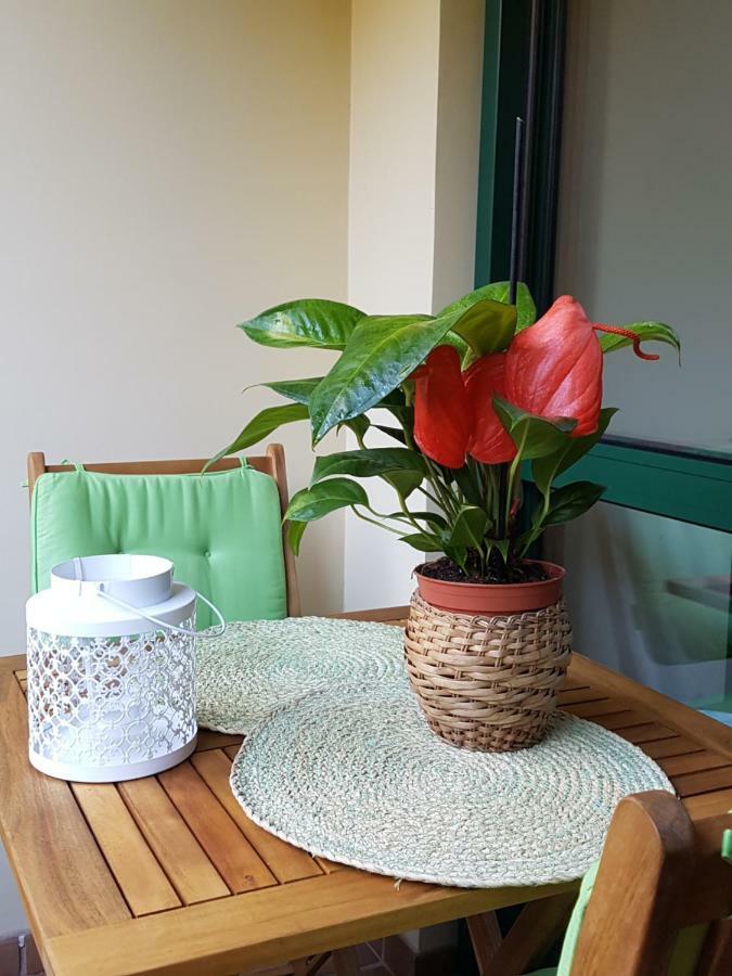 Anadia Apartment *