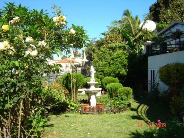 Jardim Appartement Funchal (Madeira)