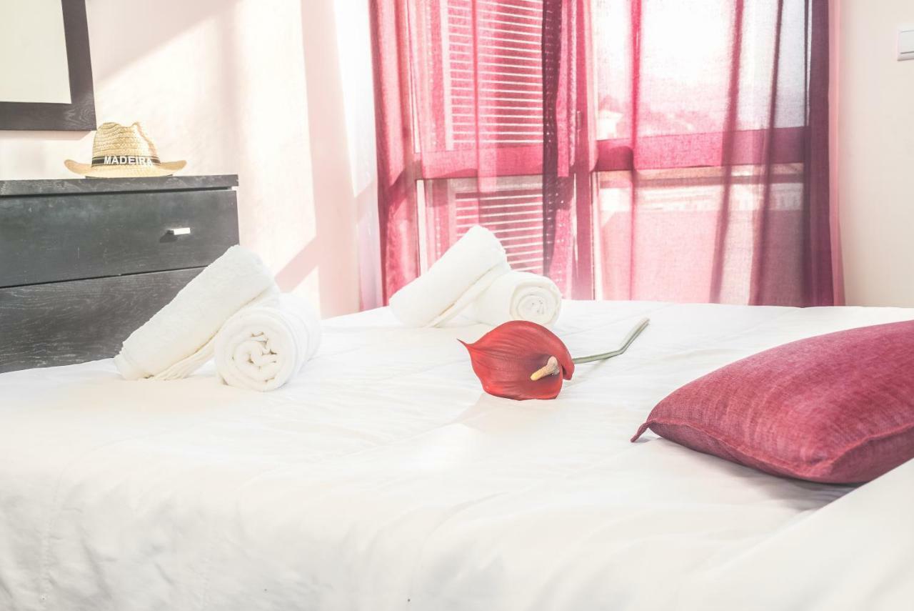 Apartment Arcadas Cozy - Au