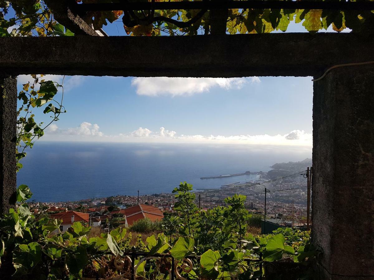 Apartment View Gardens I Funchal (Madeira)