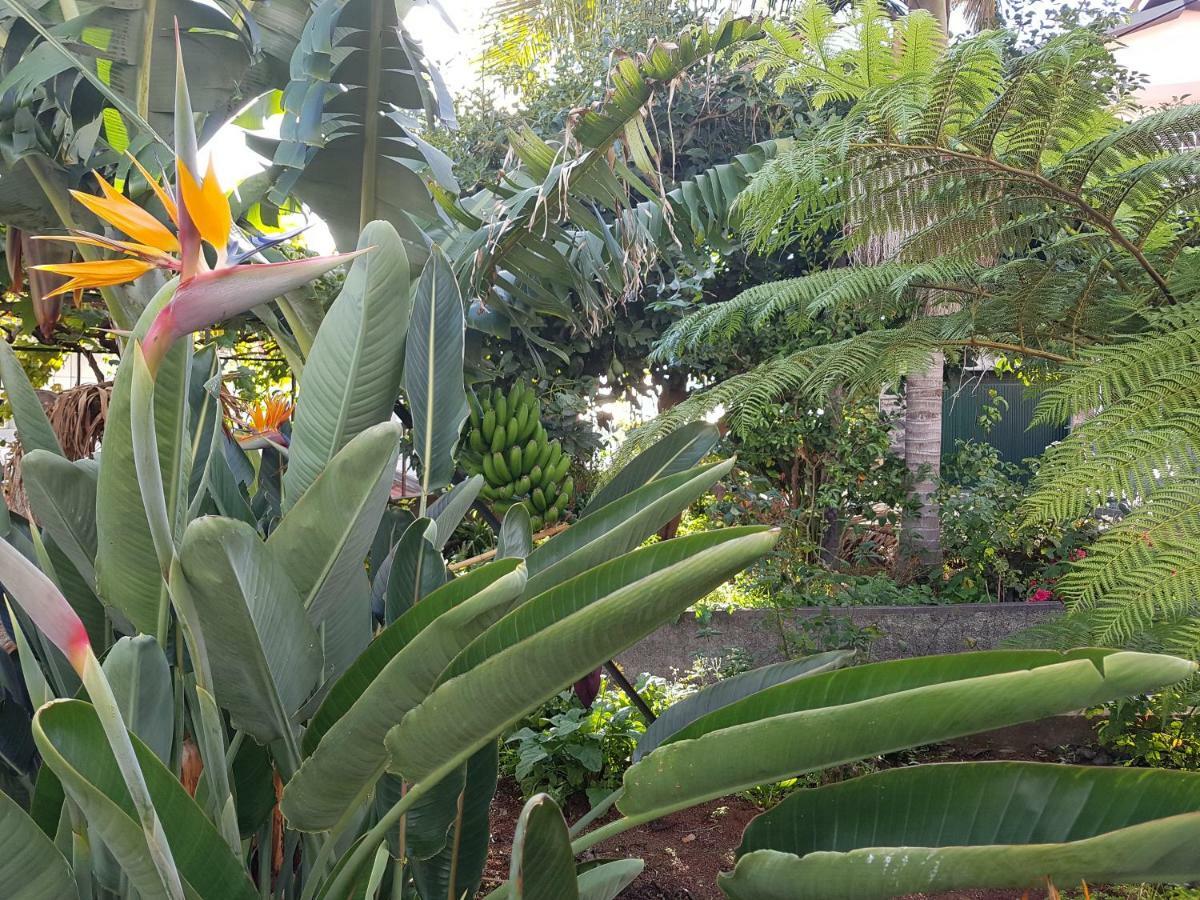 Apartment View Gardens I *