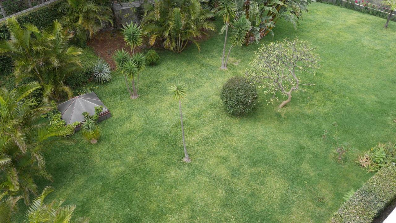 Jasmineiro - Palms Palace Apartment