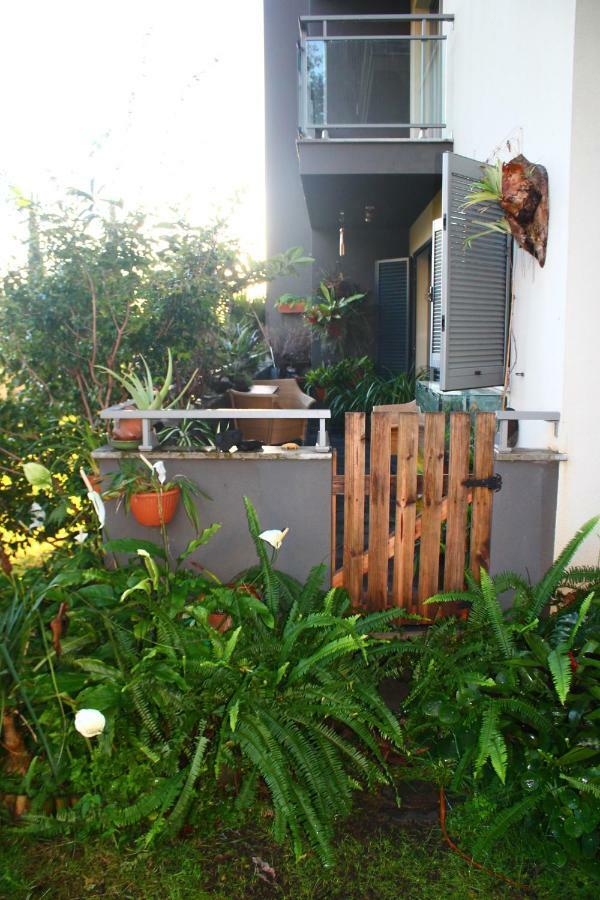 Rochas Shared Garden Refuge Ở trọ Funchal (Madeira)