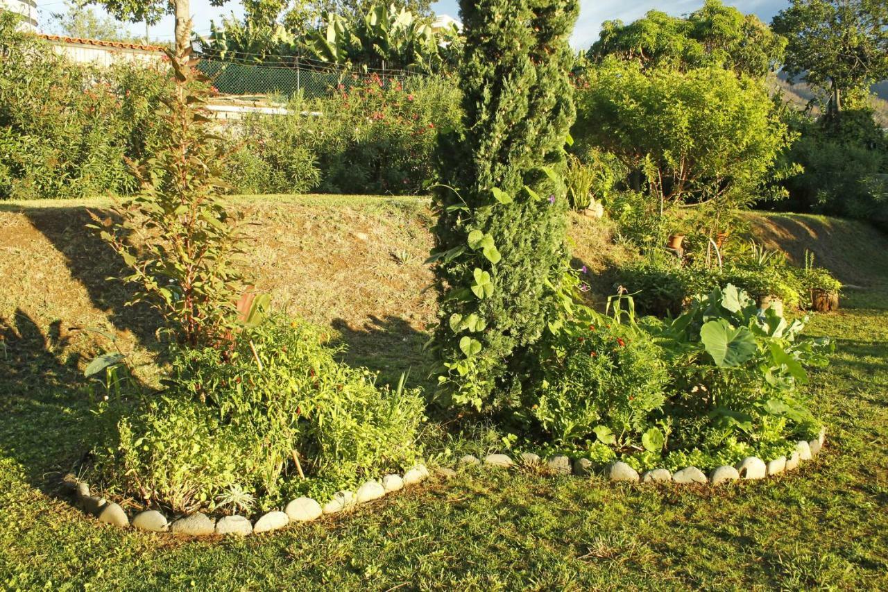 Homestay Rochas Shared Garden Refuge *