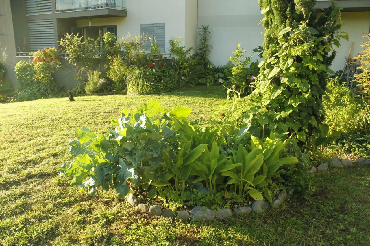 Homestay Rochas Shared Garden Refuge Funchal (Madeira)