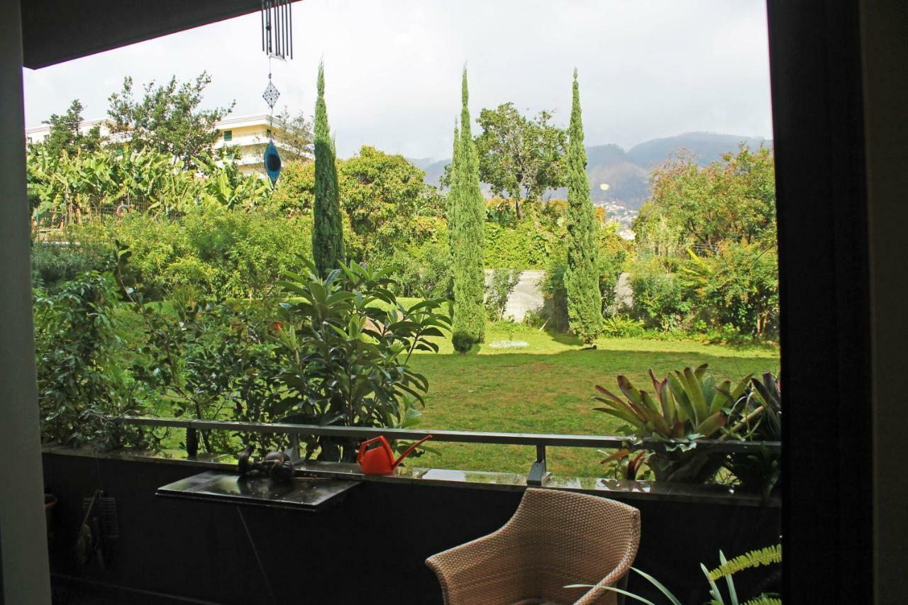 Homestay Rochas Shared Garden Refuge