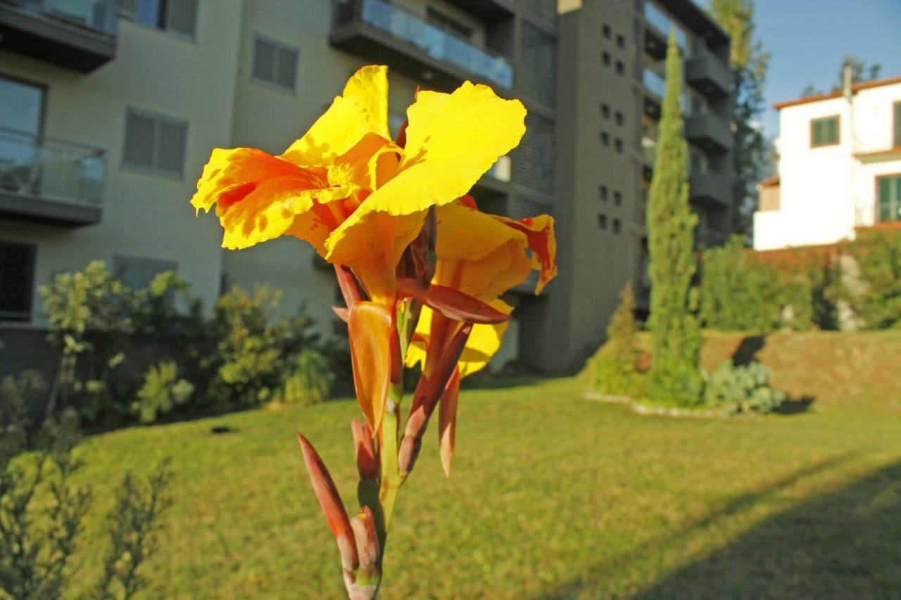 Rochas Shared Garden Refuge Funchal (Madeira)