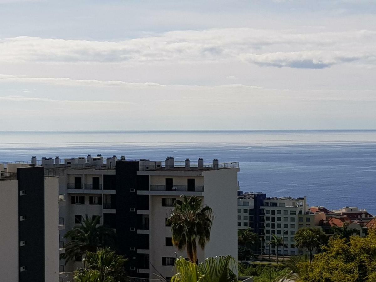 Tulipa View Apartament