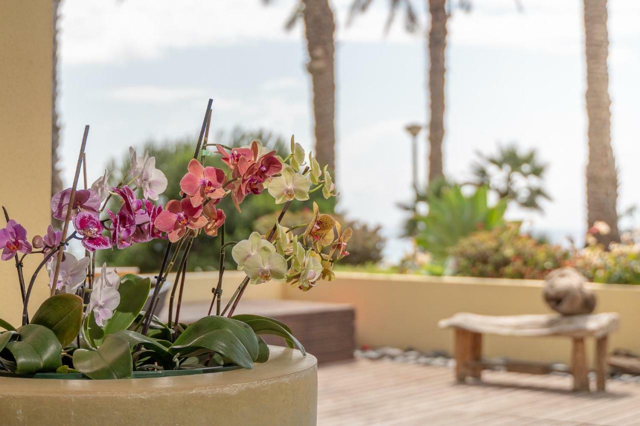 Atlantic Garden Sunset Apartment *