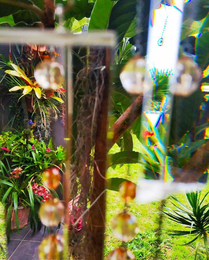 Rochas Shared Garden Refuge *