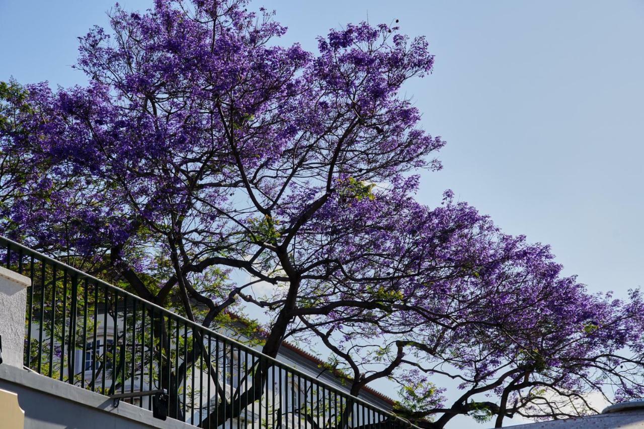 Pimenta Funchal Downtown * Funchal (Madeira)