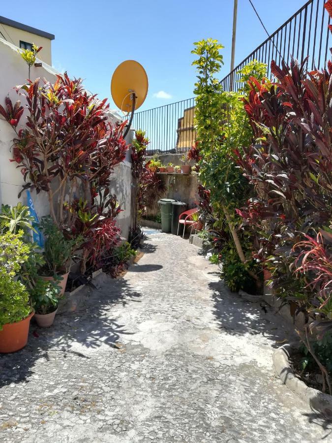 Casa Zona Velha - Caetano Apartamento *