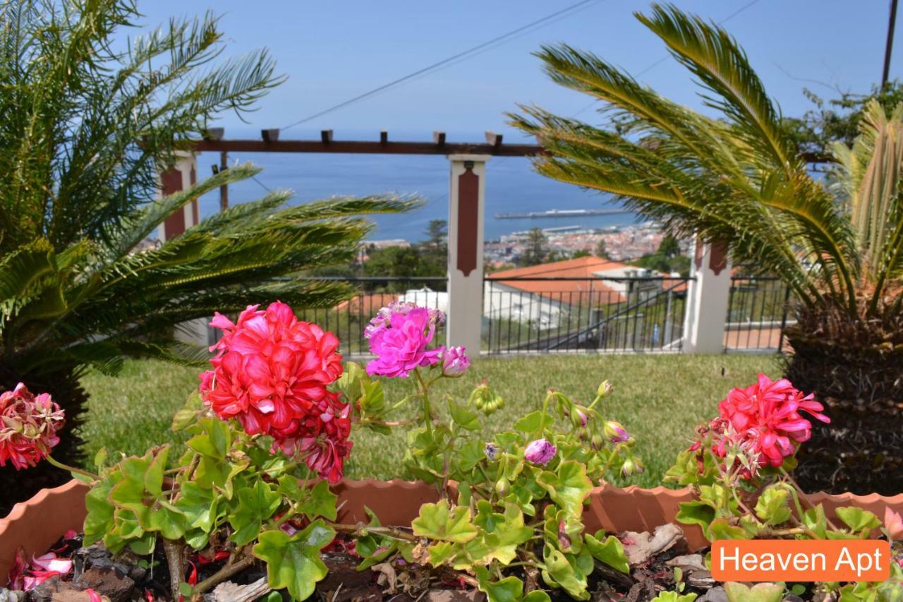 Villa Henriques * Funchal (Madeira)