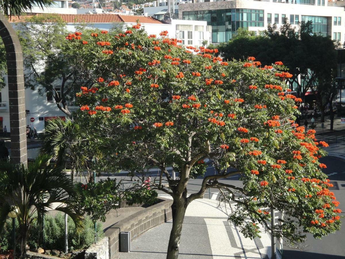 Violeta House Ferienhaus Funchal (Madeira)