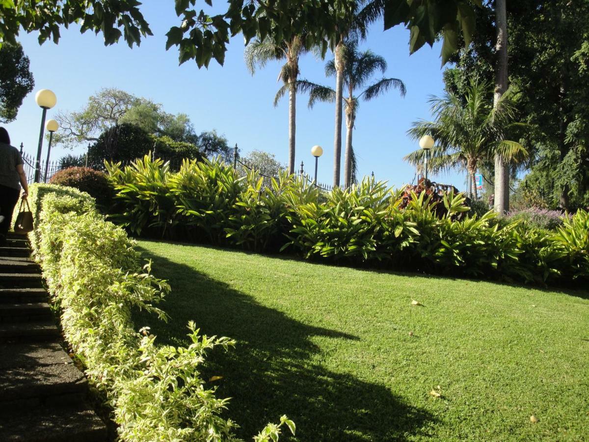 Violeta House * Funchal (Madeira)