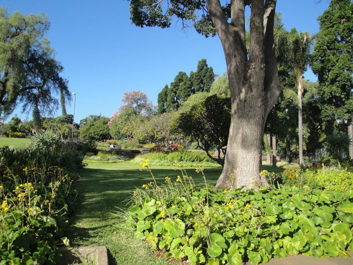 Ferienhaus Violeta House Funchal (Madeira)
