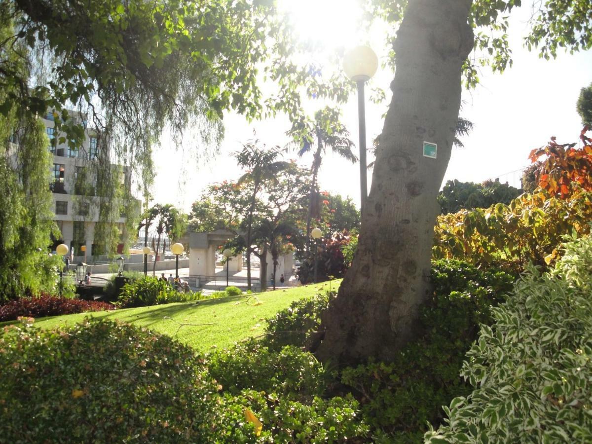 Violeta House Funchal (Madeira)