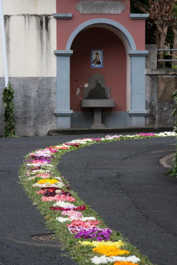 Rochinha Cozy Funchal (Madeira)