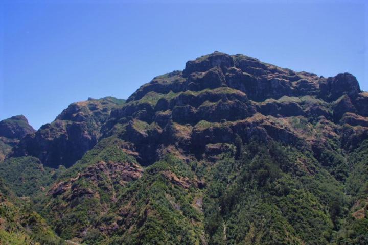 Calaca