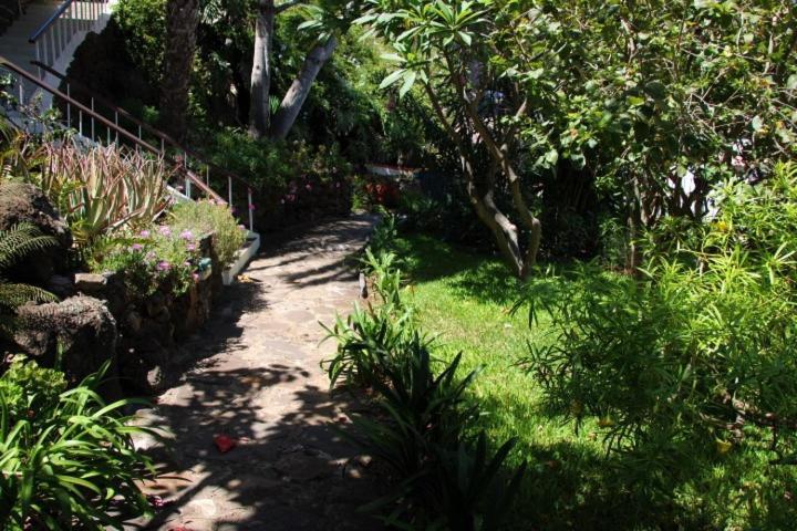 Calaca Villa Funchal (Madeira)