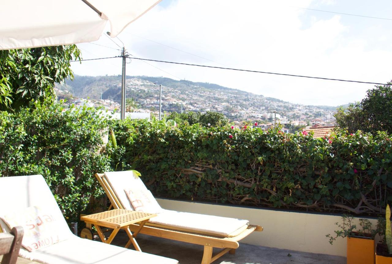 Apartment Mango Tree House *