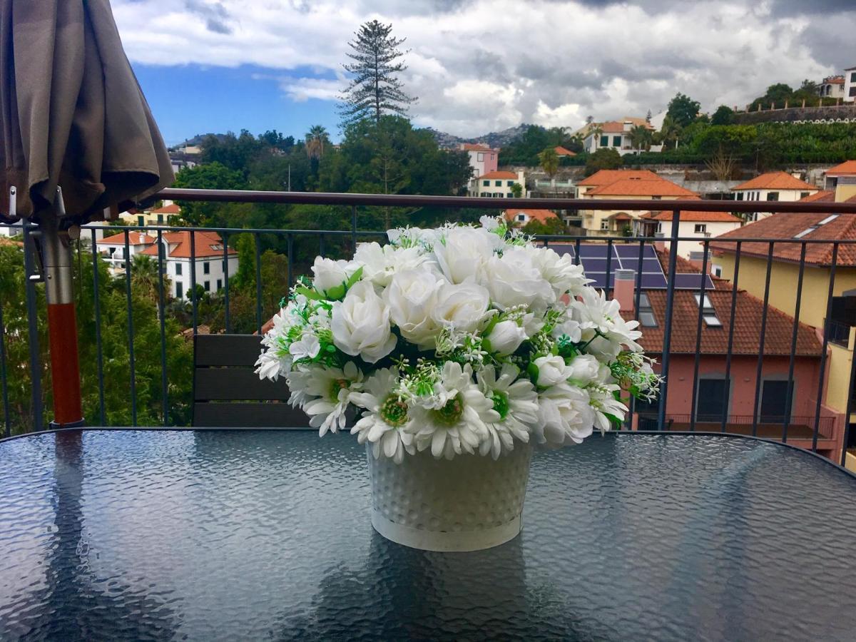 Aleixo's Terrace Penthouse