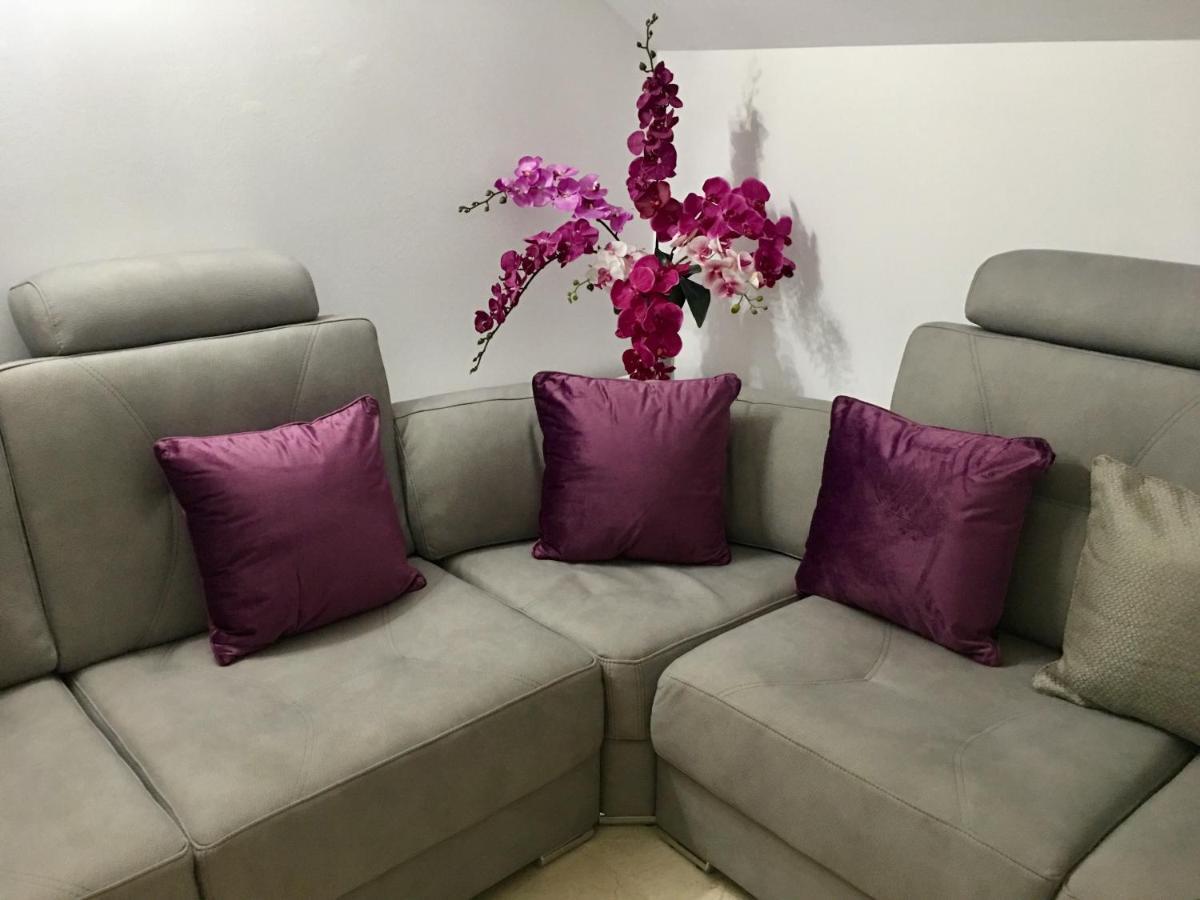 Aleixo's Terrace Penthouse