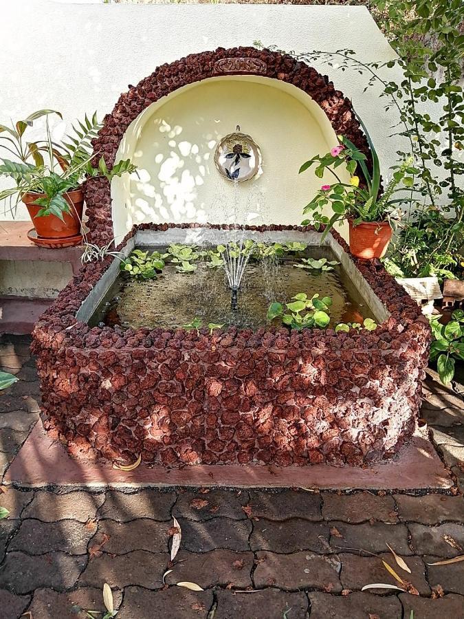 Jardim Appartement Funchal (Madeira)