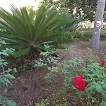 City View Gardens II