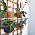 Apartamento Maria Casa Branca