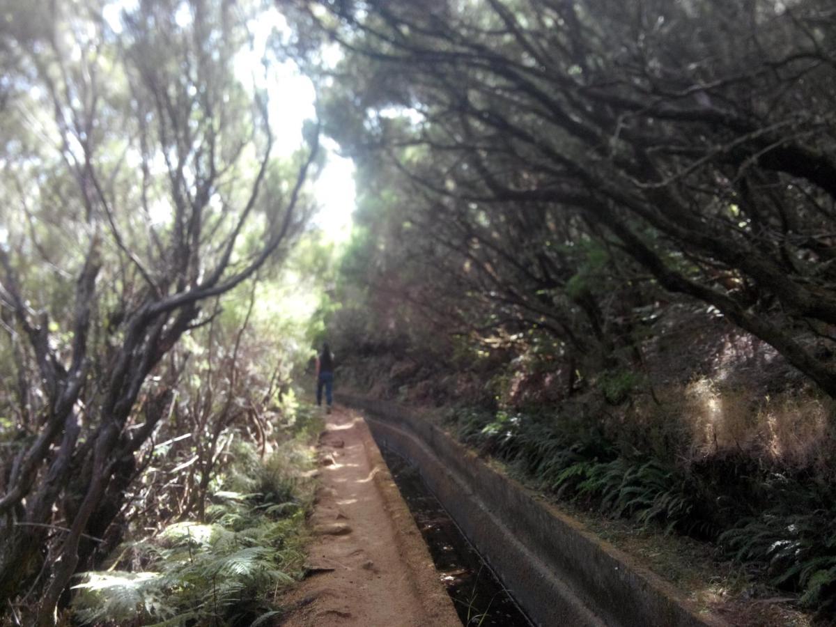 Cc39- Q5 Funchal (Madeira)
